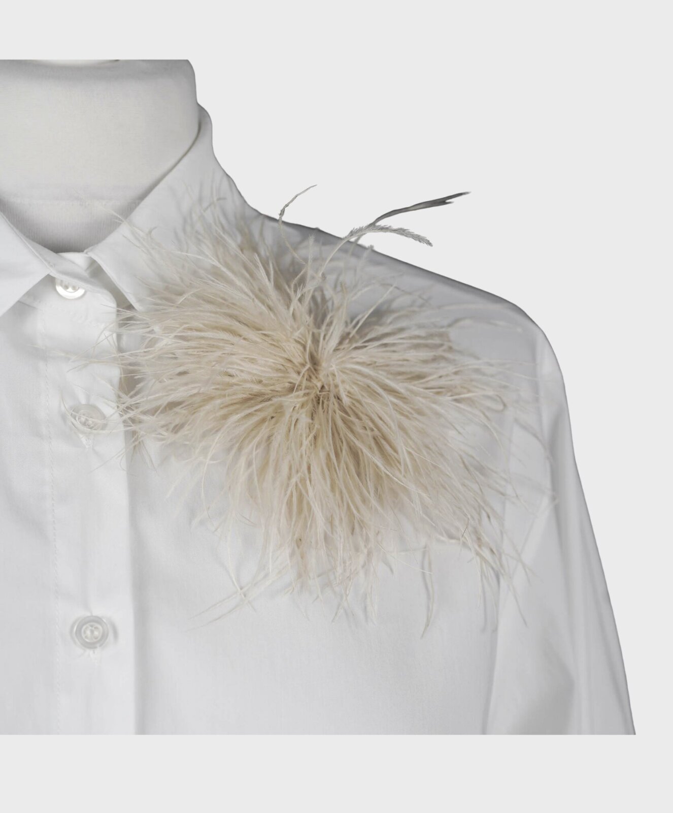 Feine Federbrosche beige (AS35)